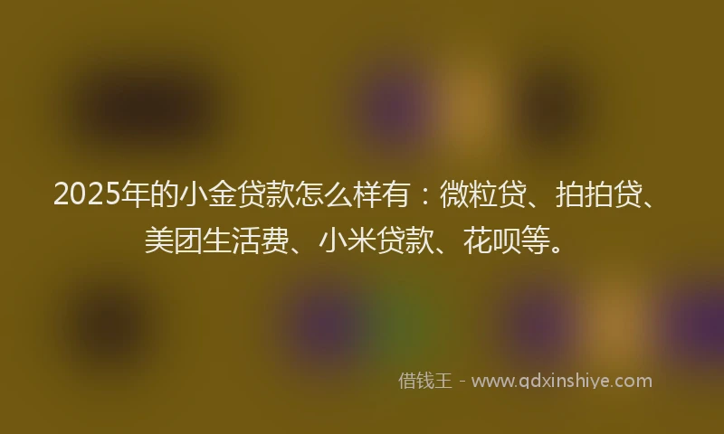 2025年的小金贷款怎么样有：微粒贷、拍拍贷、美团生活费、小米贷款、花呗等。
