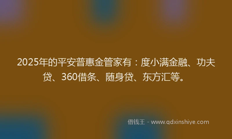 2025年的平安普惠金管家有：度小满金融、功夫贷、360借条、随身贷、东方汇等。
