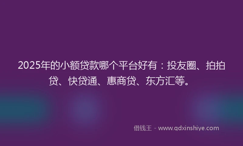 2025年的小额贷款哪个平台好有：投友圈、拍拍贷、快贷通、惠商贷、东方汇等。