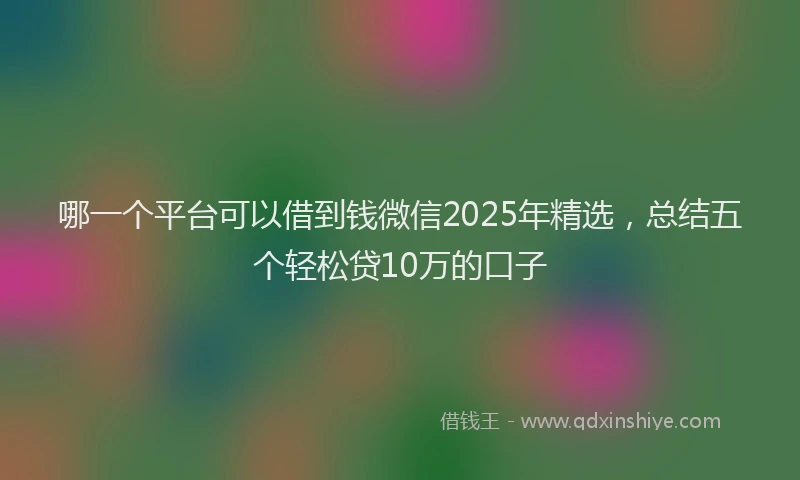 哪一个平台可以借到钱微信2025年精选，总结五个轻松贷10万的口子