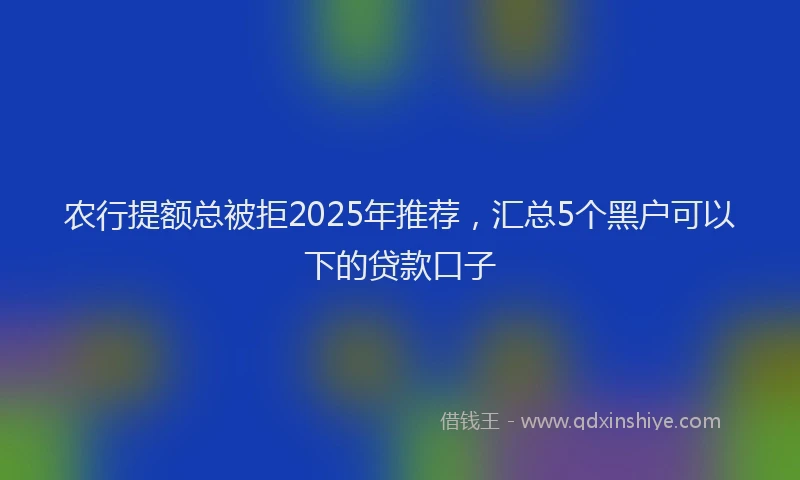 农行提额总被拒2025年推荐，汇总5个黑户可以下的贷款口子
