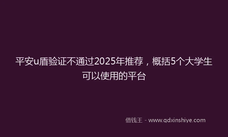 平安u盾验证不通过2025年推荐，概括5个大学生可以使用的平台