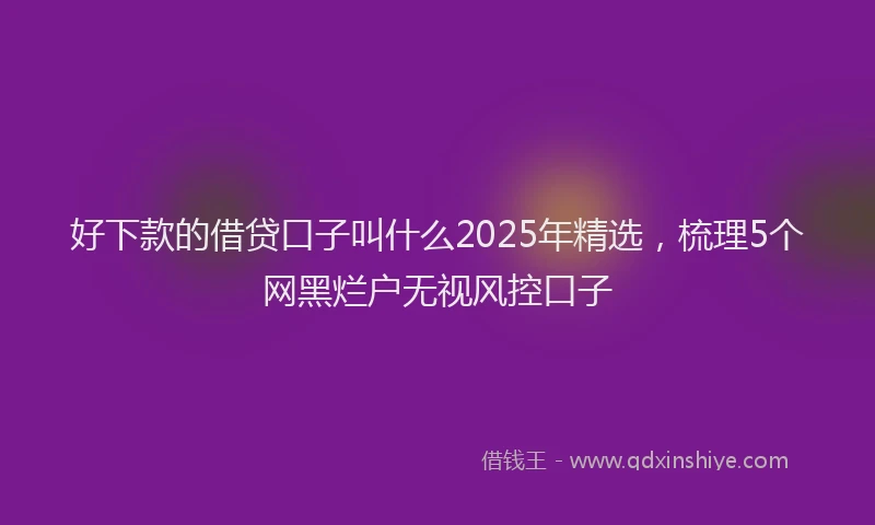好下款的借贷口子叫什么2025年精选，梳理5个网黑烂户无视风控口子