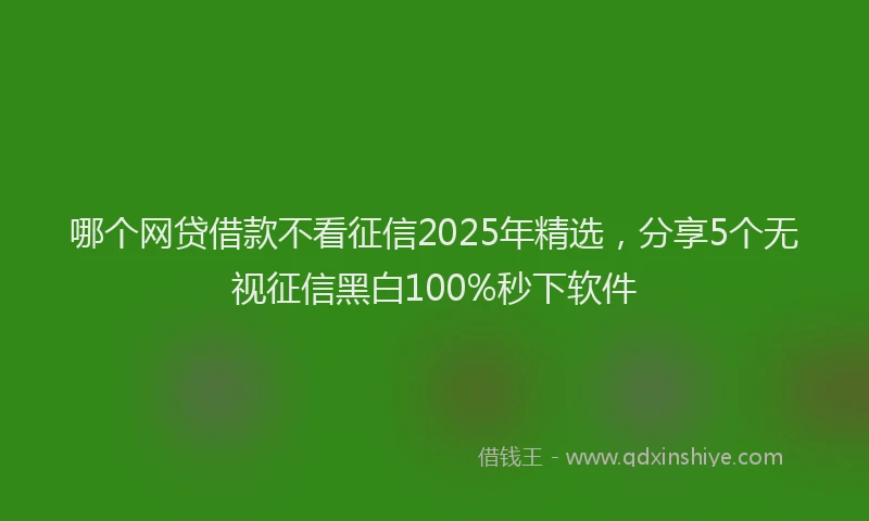 哪个网贷借款不看征信2025年精选，分享5个无视征信黑白100%秒下软件