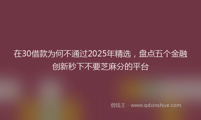 在30借款为何不通过2025年精选，盘点五个金融创新秒下不要芝麻分的平台