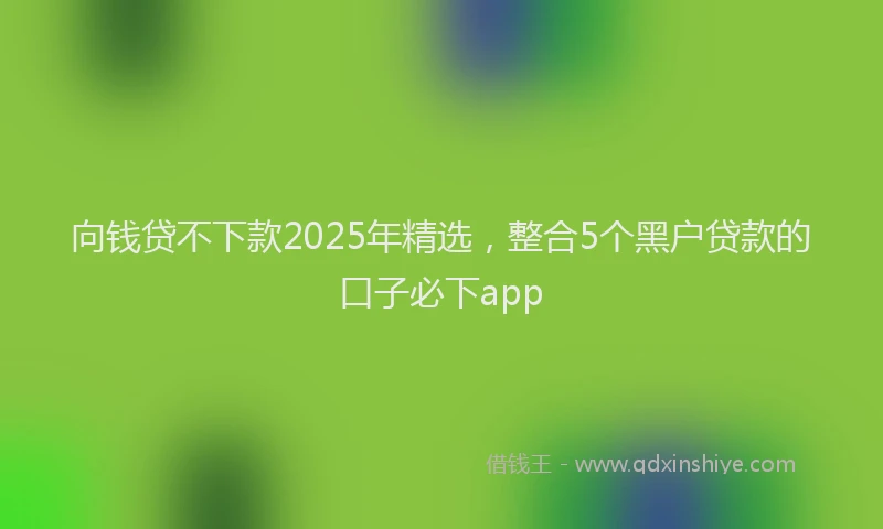 向钱贷不下款2025年精选，整合5个黑户贷款的口子必下app