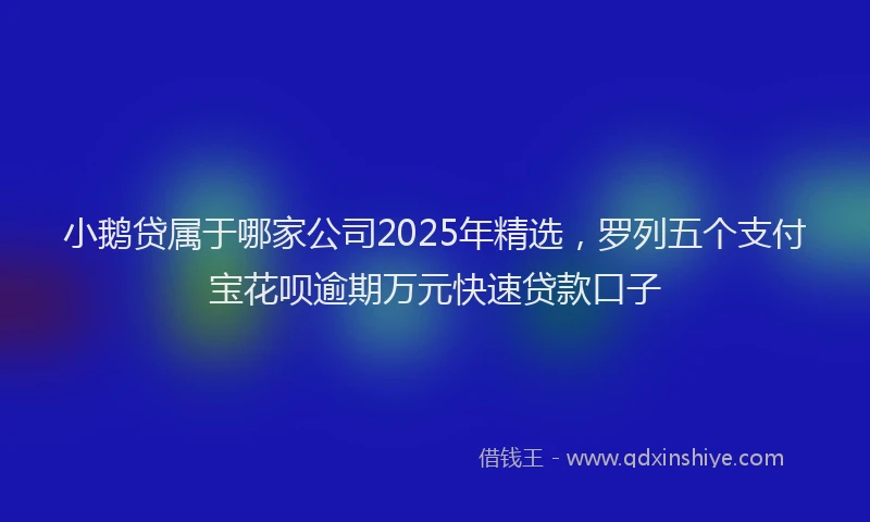 小鹅贷属于哪家公司2025年精选，罗列五个支付宝花呗逾期万元快速贷款口子