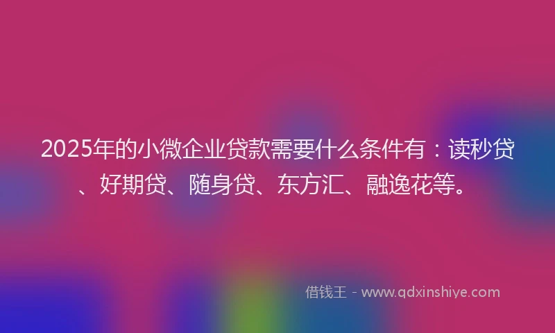 2025年的小微企业贷款需要什么条件有：读秒贷、好期贷、随身贷、东方汇、融逸花等。