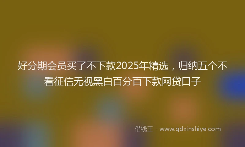 好分期会员买了不下款2025年精选，归纳五个不看征信无视黑白百分百下款网贷口子
