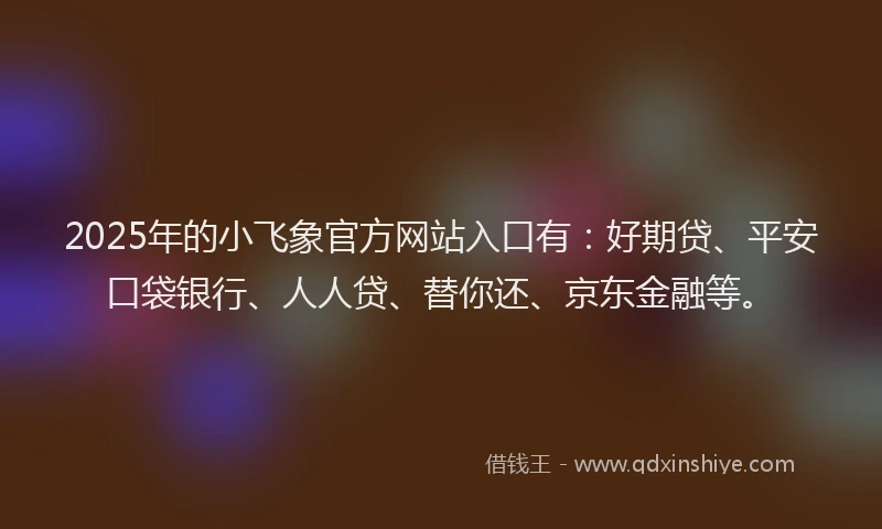 2025年的小飞象官方网站入口有：好期贷、平安口袋银行、人人贷、替你还、京东金融等。