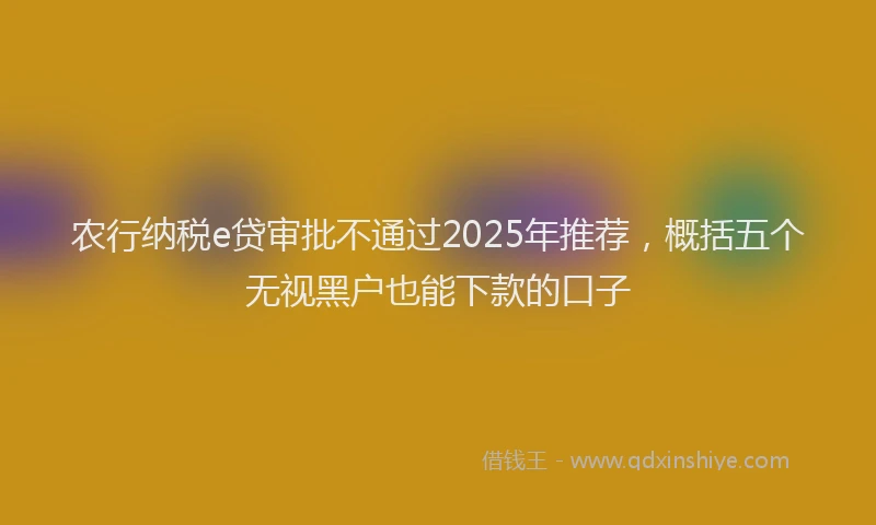 农行纳税e贷审批不通过2025年推荐，概括五个无视黑户也能下款的口子
