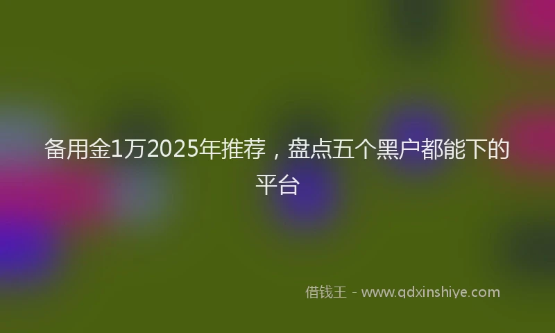 备用金1万2025年推荐，盘点五个黑户都能下的平台