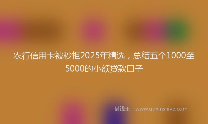 农行信用卡被秒拒2025年精选，总结五个1000至5000的小额贷款口子
