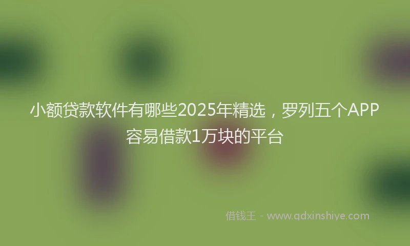 小额贷款软件有哪些2025年精选，罗列五个APP容易借款1万块的平台