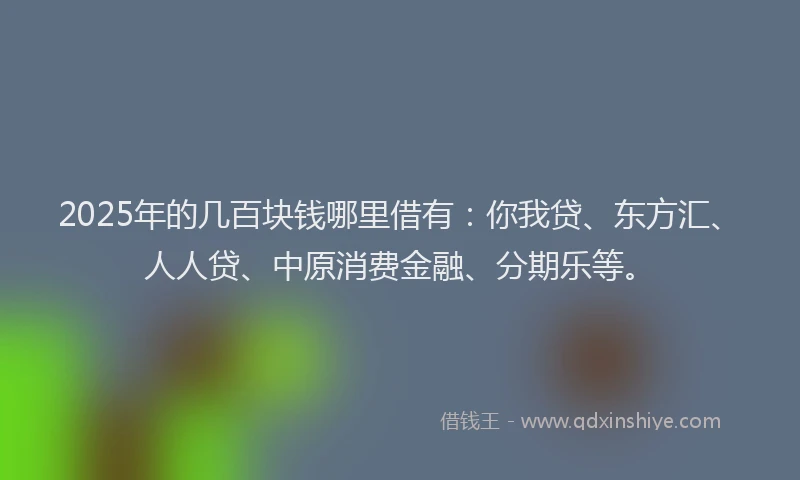 2025年的几百块钱哪里借有：你我贷、东方汇、人人贷、中原消费金融、分期乐等。