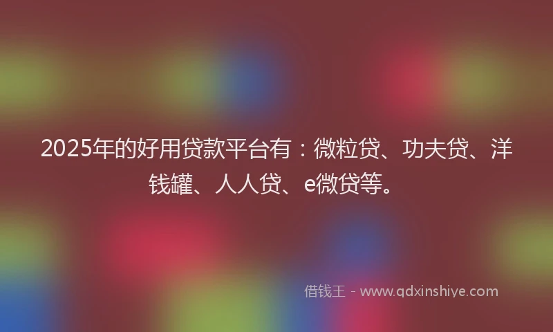 2025年的好用贷款平台有：微粒贷、功夫贷、洋钱罐、人人贷、e微贷等。