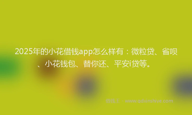 2025年的小花借钱app怎么样有：微粒贷、省呗、小花钱包、替你还、平安i贷等。