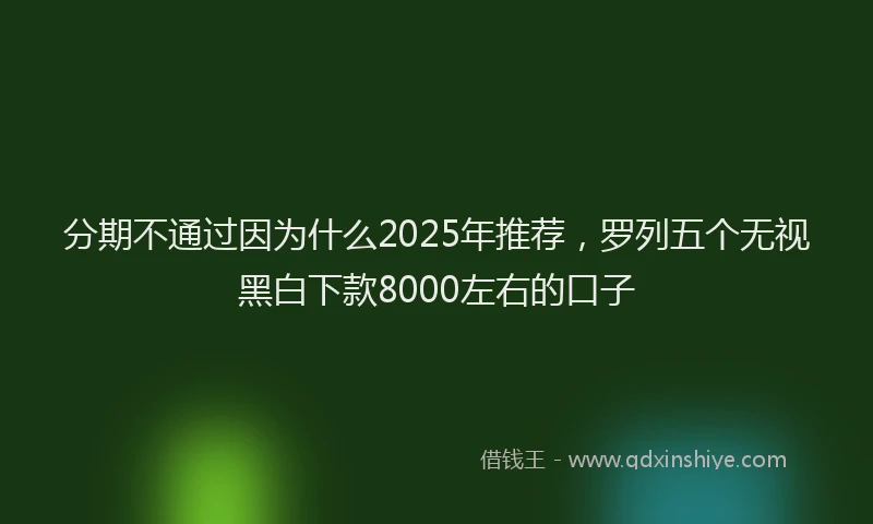 分期不通过因为什么2025年推荐，罗列五个无视黑白下款8000左右的口子