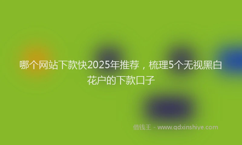 哪个网站下款快2025年推荐，梳理5个无视黑白花户的下款口子