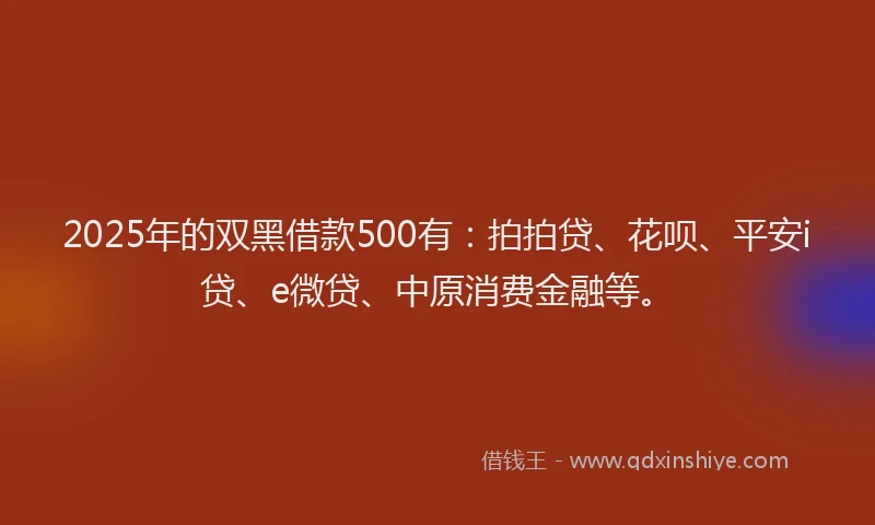 2025年的双黑借款500有：拍拍贷、花呗、平安i贷、e微贷、中原消费金融等。