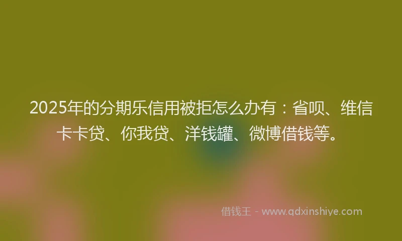 2025年的分期乐信用被拒怎么办有：省呗、维信卡卡贷、你我贷、洋钱罐、微博借钱等。