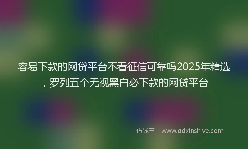 容易下款的网贷平台不看征信可靠吗2025年精选，罗列五个无视黑白必下款的网贷平台
