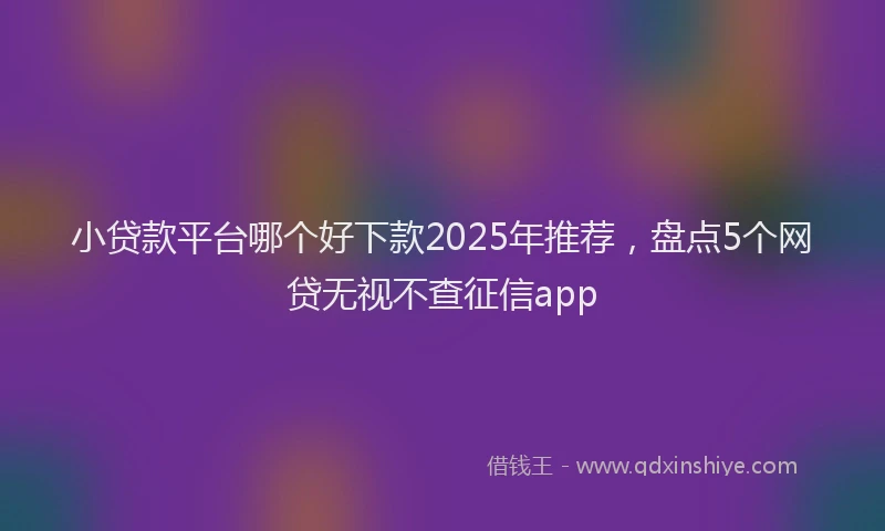 小贷款平台哪个好下款2025年推荐，盘点5个网贷无视不查征信app