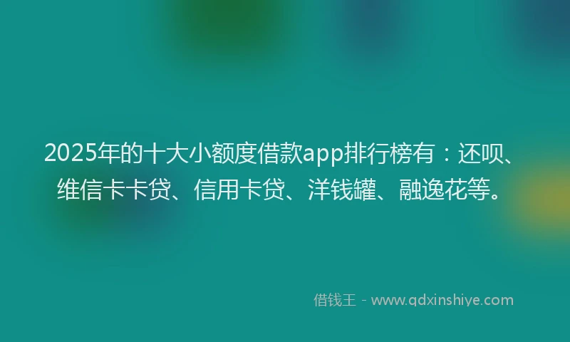 2025年的十大小额度借款app排行榜有：还呗、维信卡卡贷、信用卡贷、洋钱罐、融逸花等。
