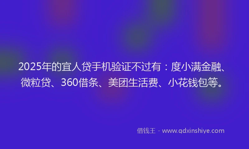 2025年的宜人贷手机验证不过有：度小满金融、微粒贷、360借条、美团生活费、小花钱包等。