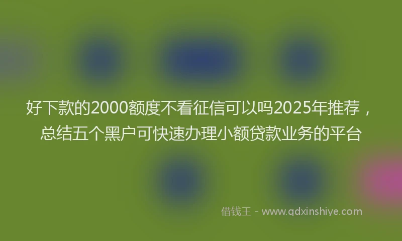 好下款的2000额度不看征信可以吗2025年推荐，总结五个黑户可快速办理小额贷款业务的平台