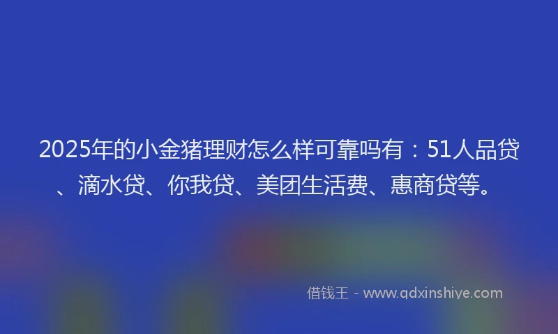 2025年的小金猪理财怎么样可靠吗有：51人品贷、滴水贷、你我贷、美团生活费、惠商贷等。