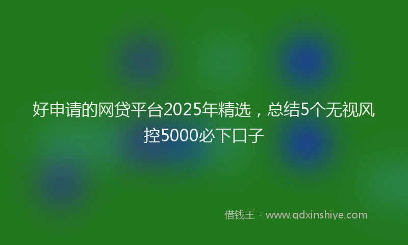 好申请的网贷平台2025年精选，总结5个无视风控5000必下口子