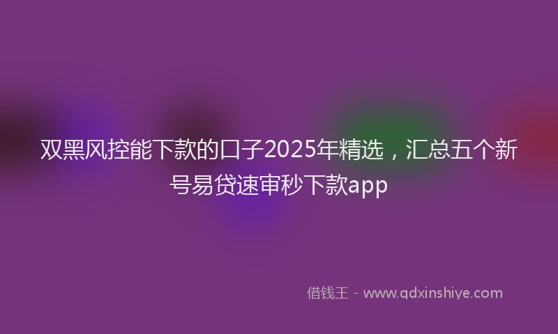 双黑风控能下款的口子2025年精选，汇总五个新号易贷速审秒下款app