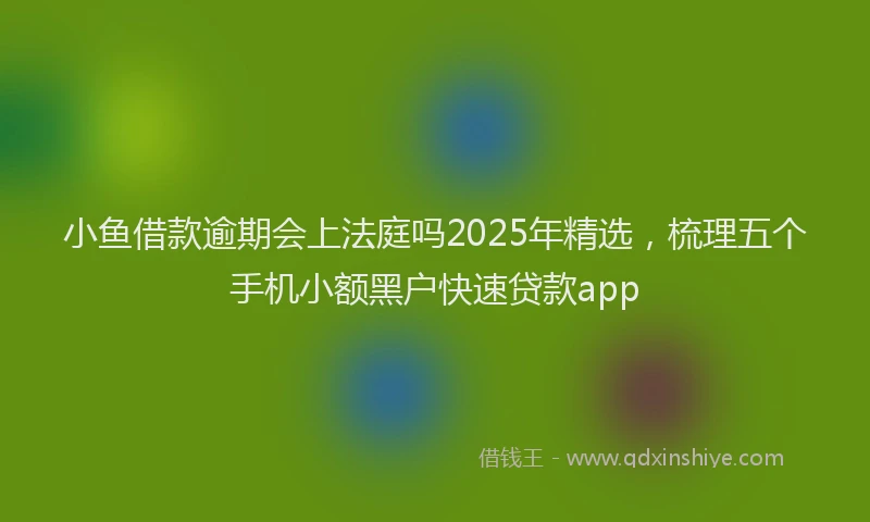 小鱼借款逾期会上法庭吗2025年精选，梳理五个手机小额黑户快速贷款app