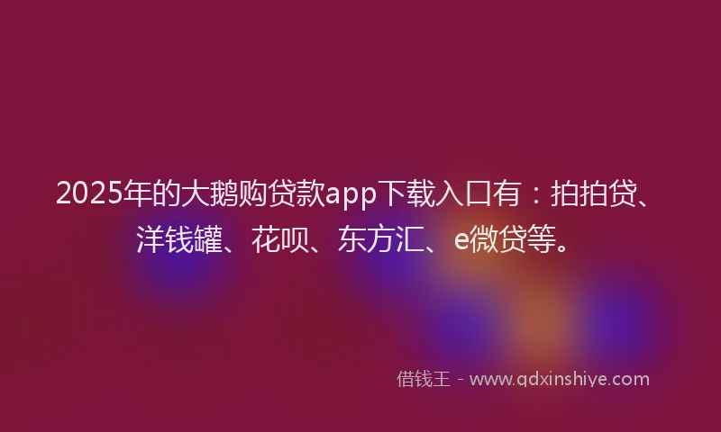 2025年的大鹅购贷款app下载入口有：拍拍贷、洋钱罐、花呗、东方汇、e微贷等。