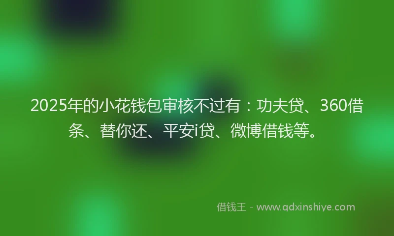 2025年的小花钱包审核不过有：功夫贷、360借条、替你还、平安i贷、微博借钱等。