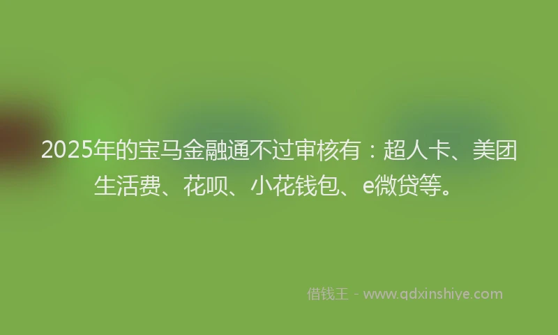 2025年的宝马金融通不过审核有：超人卡、美团生活费、花呗、小花钱包、e微贷等。