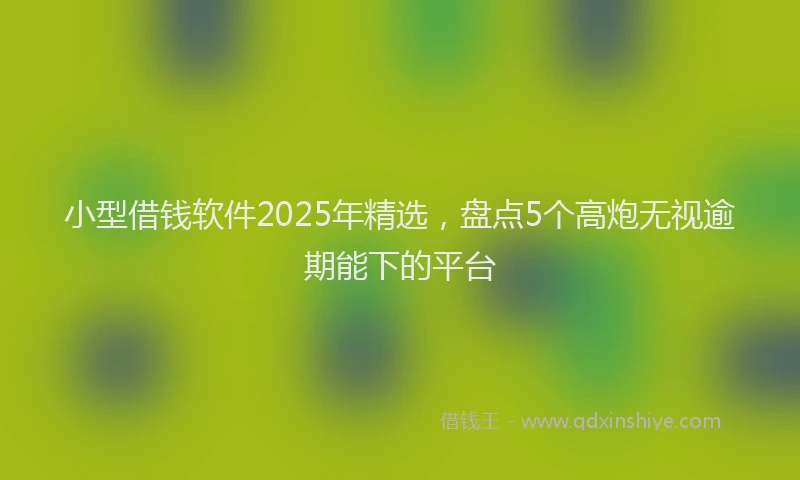 小型借钱软件2025年精选，盘点5个高炮无视逾期能下的平台