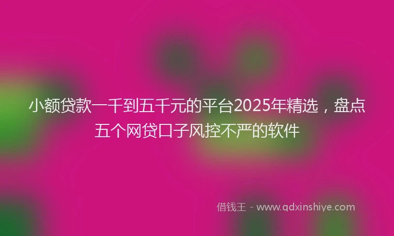 小额贷款一千到五千元的平台2025年精选，盘点五个网贷口子风控不严的软件