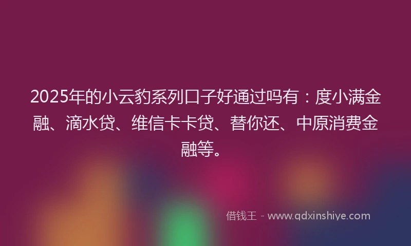 2025年的小云豹系列口子好通过吗有：度小满金融、滴水贷、维信卡卡贷、替你还、中原消费金融等。