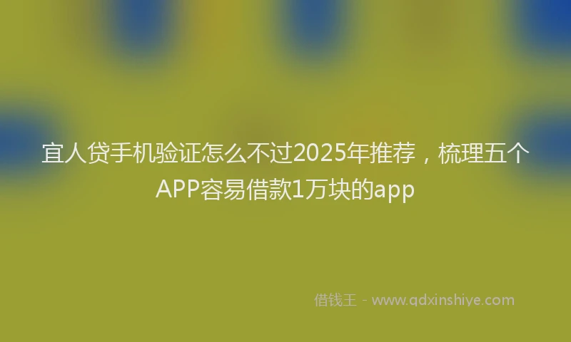 宜人贷手机验证怎么不过2025年推荐，梳理五个APP容易借款1万块的app