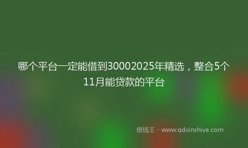 哪个平台一定能借到30002025年精选，整合5个11月能贷款的平台