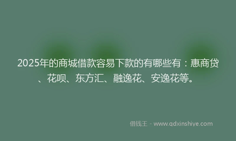 2025年的商城借款容易下款的有哪些有：惠商贷、花呗、东方汇、融逸花、安逸花等。