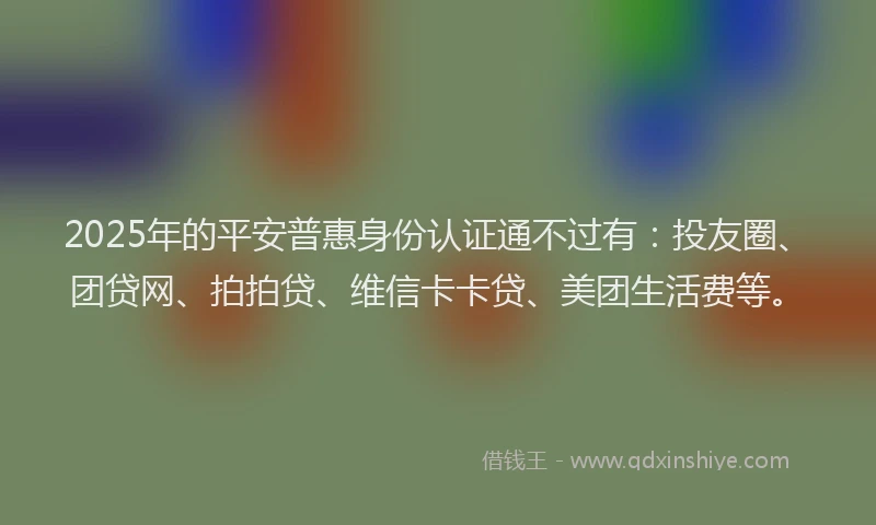 2025年的平安普惠身份认证通不过有：投友圈、团贷网、拍拍贷、维信卡卡贷、美团生活费等。