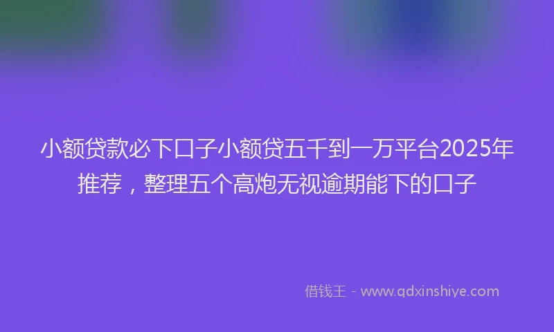 小额贷款必下口子小额贷五千到一万平台2025年推荐，整理五个高炮无视逾期能下的口子
