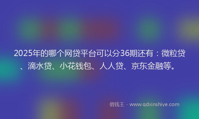 2025年的哪个网贷平台可以分36期还有：微粒贷、滴水贷、小花钱包、人人贷、京东金融等。