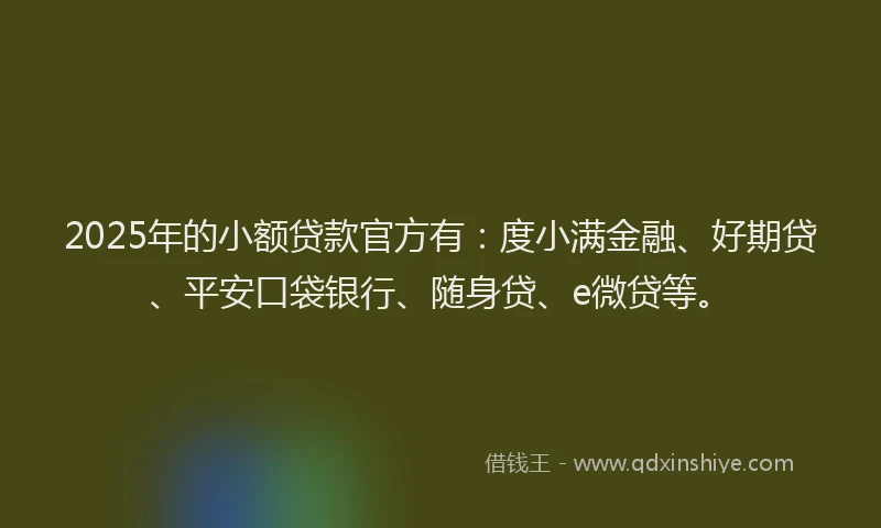 2025年的小额贷款官方有：度小满金融、好期贷、平安口袋银行、随身贷、e微贷等。