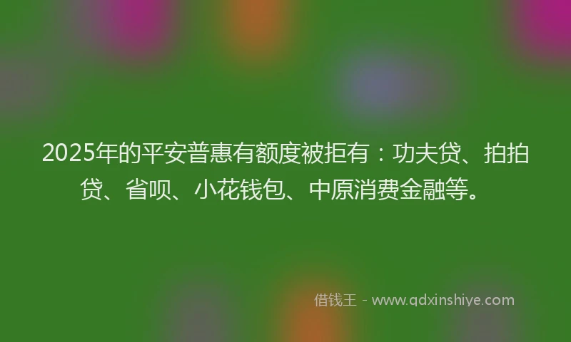 2025年的平安普惠有额度被拒有：功夫贷、拍拍贷、省呗、小花钱包、中原消费金融等。