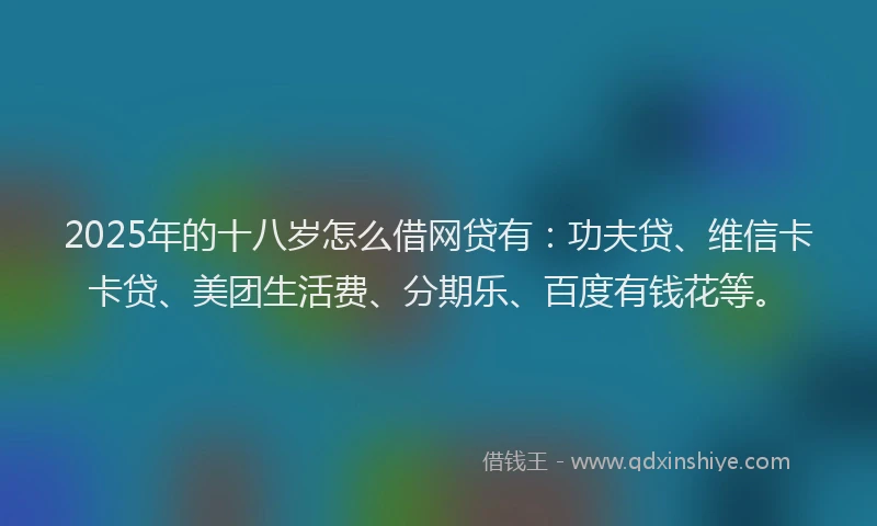 2025年的十八岁怎么借网贷有：功夫贷、维信卡卡贷、美团生活费、分期乐、百度有钱花等。
