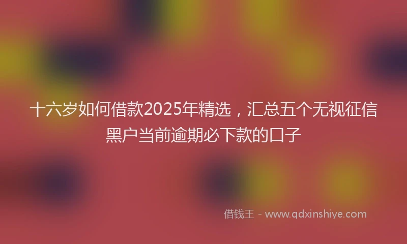 十六岁如何借款2025年精选，汇总五个无视征信黑户当前逾期必下款的口子